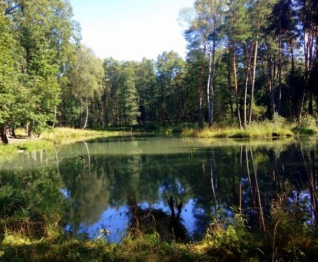 Apartament Pod Lasem Tenczynek Bagian luar foto
