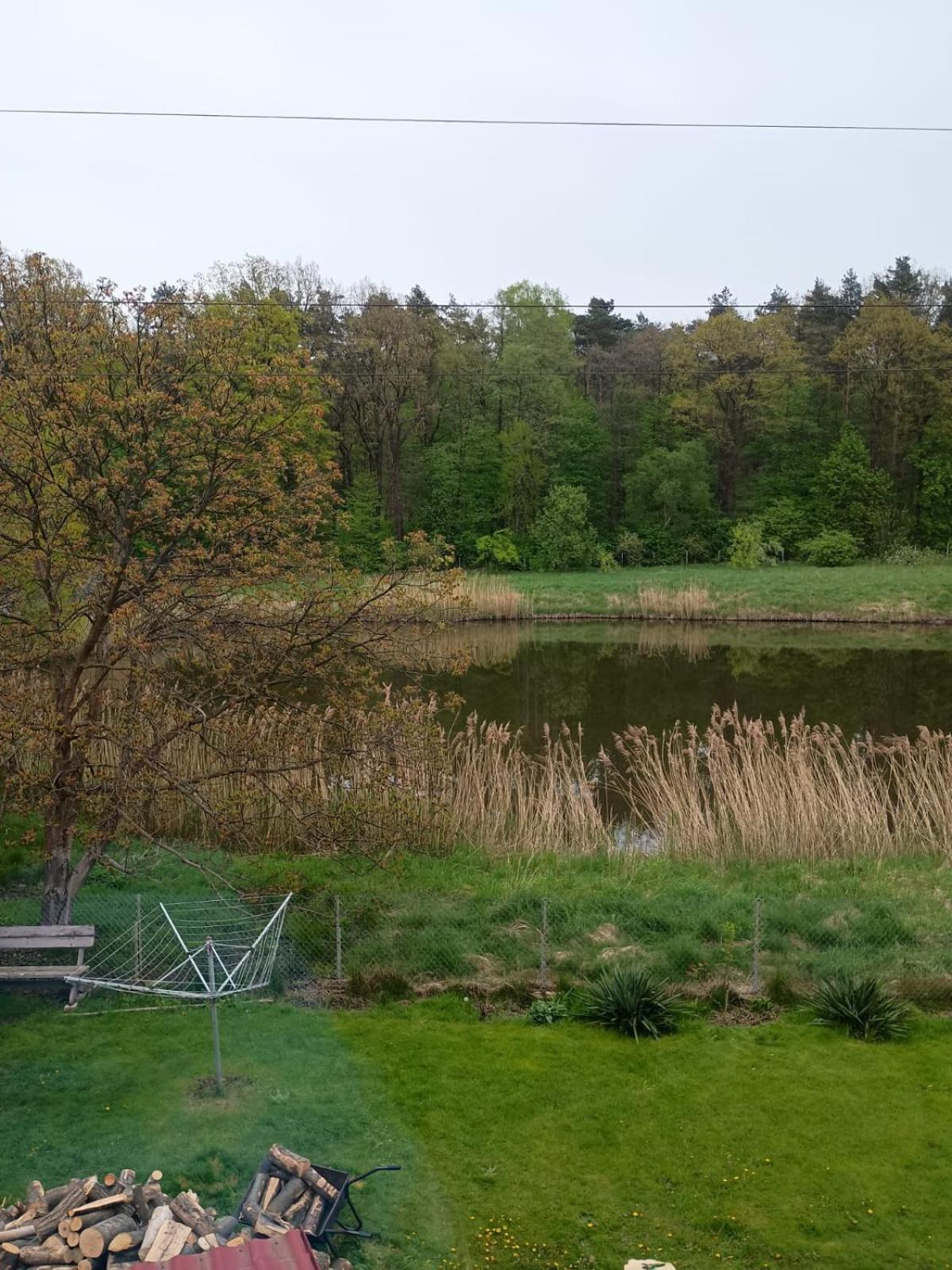 Apartament Pod Lasem Tenczynek Bagian luar foto